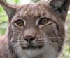 images/avatars/avatar-71.jpg